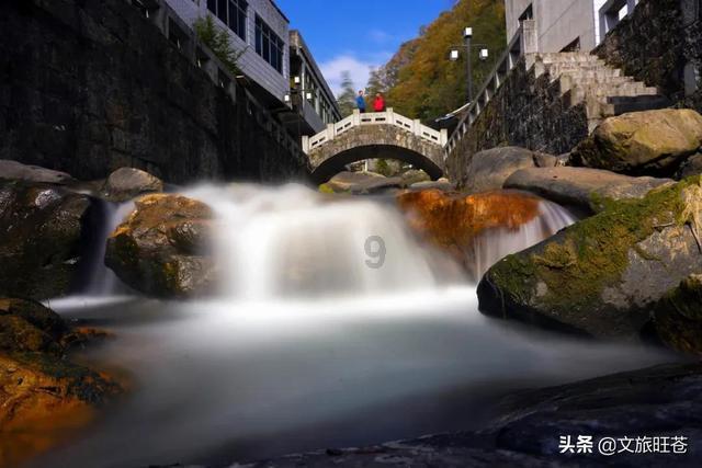 燃烧吧大脑装瓶子游戏